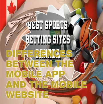 Table tennis betting site apk
