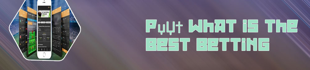 Which is the best online betting site apk in
